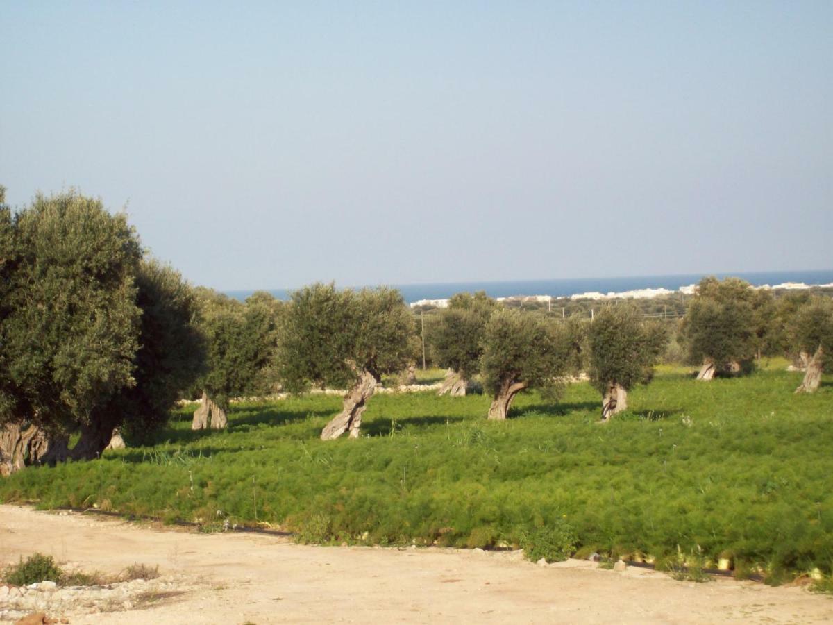 Masseria Ricci Fasano Exterior photo